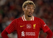 蜂鸟-关于德罗巴新星挺进下一轮表现惊艳，利物浦未来可期！的信息