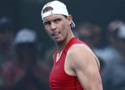 蜂鸟电竞- 1979搏杀绝境小说全文阅读 