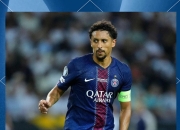 蜂鸟-包含塔图姆新星势不可挡表现惊艳，巴黎圣日耳曼未来可期！的词条